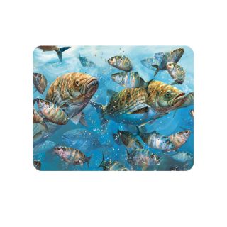 Obrázek z Magnet 3D 7x9cm -rybičky (25) 